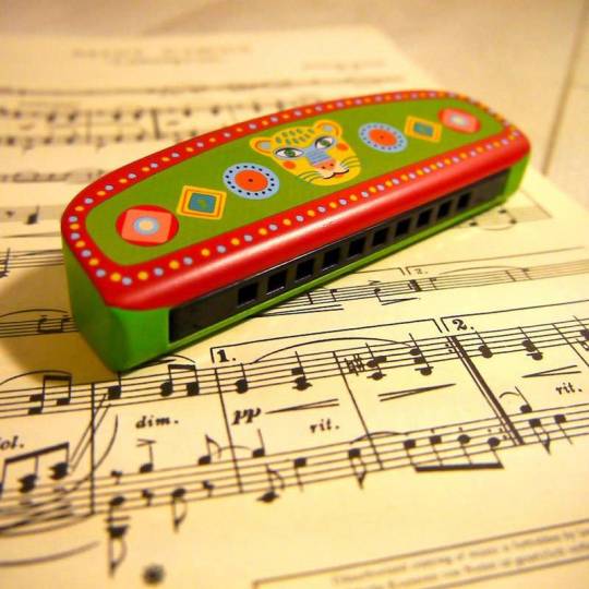 Harmonica - Un jeu Djeco - Acheter sur la Boutique BCD Jeux