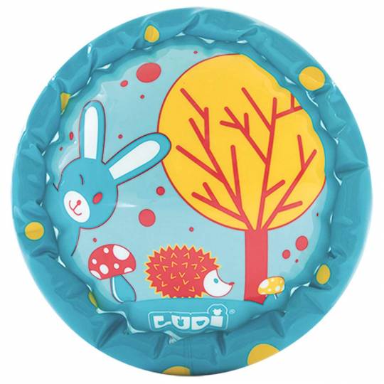 Baby Roller - Lapin LUDI - 7