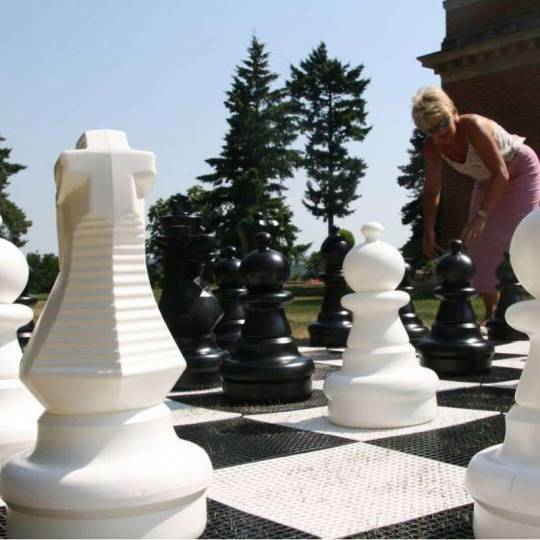 Dalles clipsables - Tapis d'échecs et dames géant 280 cm Rolly Toys - 4