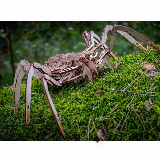 Spider - Casse-tête mécanique en 3D EWA Eco Wood Art - 3