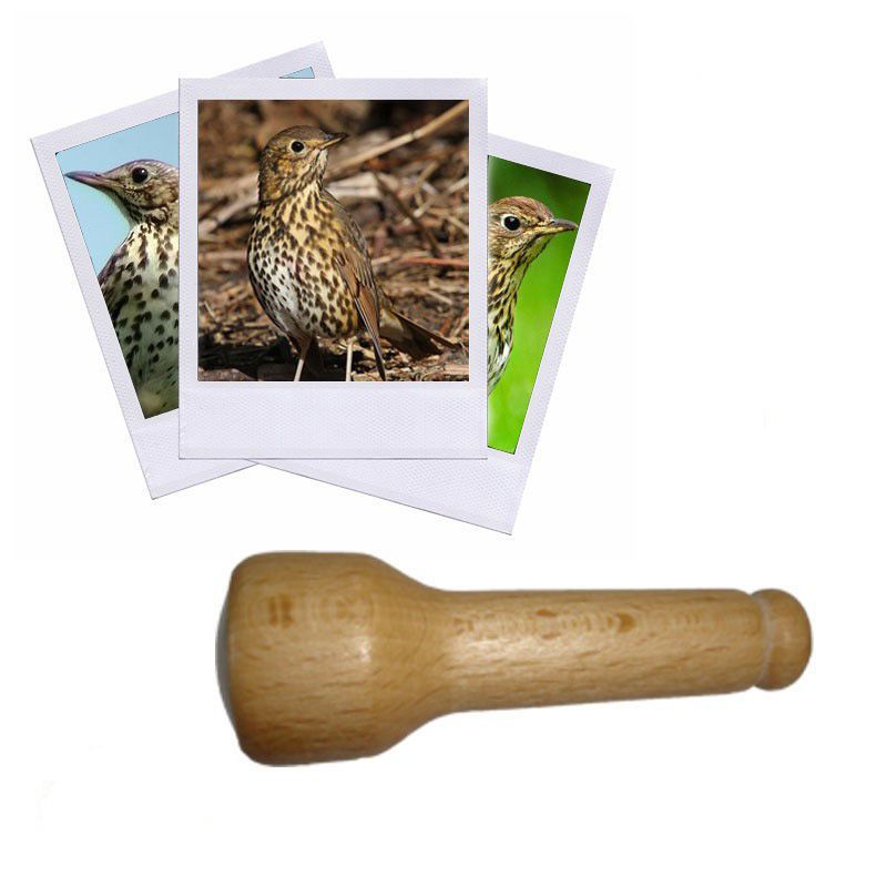 Appeau Grive Musicienne Sifflet Chant Oiseau 100 Made In France