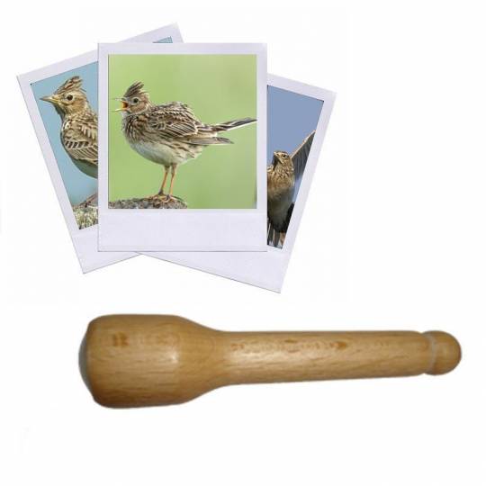 APPEAU SIFFLET OISEAU terre cuite vernissée Soufflenheim EUR 12,00