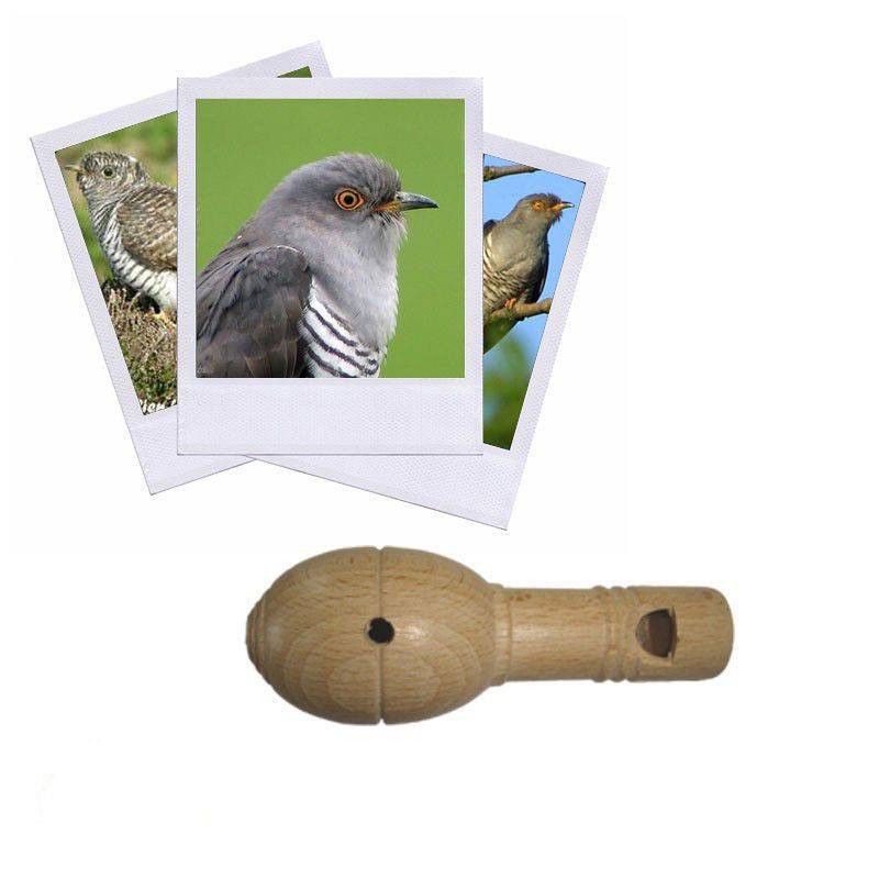 Appeau Coucou Gris Sifflet Chant Oiseau 100 Made In France Appeau Coucou Gris Sifflet Chant Oiseau 100 Made In France
