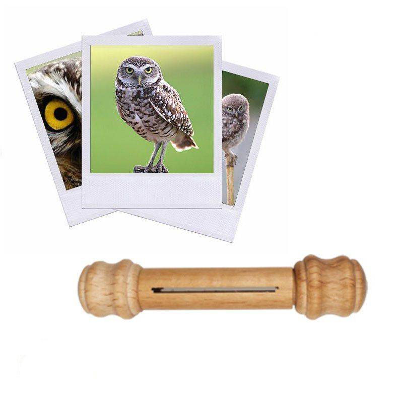 Appeau Chouette Cheveche Sifflet Chant Oiseau 100 Made In France Appeau Chouette Cheveche Sifflet Chant Oiseau 100 Made In France