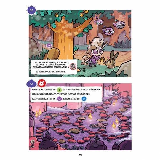 La BD dont tu es le petit héros : Chatons et Dragons - Le Choukra Makaka Editions - 3