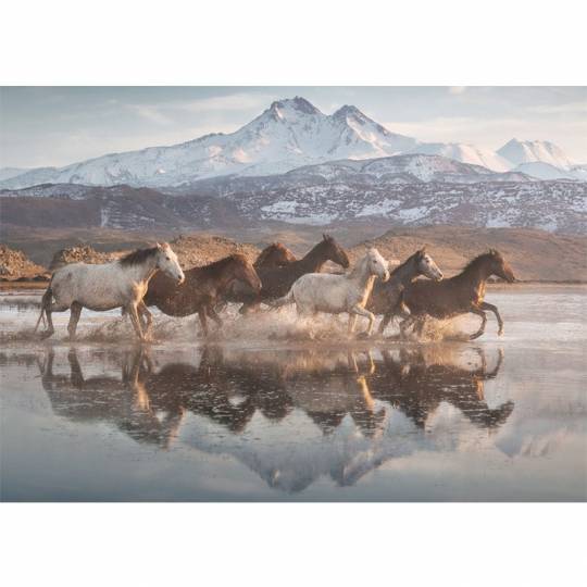 Schmidt Puzzles - Chevaux en Cappadoce, 1000 pcs Schmidt - 2