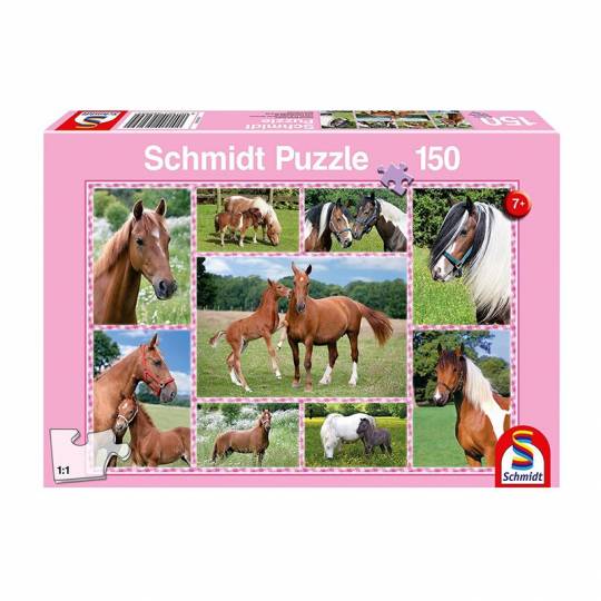 Schmidt Puzzles - Rêves de chevaux - 150 pcs Schmidt - 1