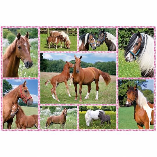 Schmidt Puzzles - Rêves de chevaux - 150 pcs Schmidt - 2