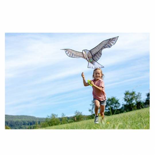 Cerf-volant Aigle - Terra Kids Haba - 2