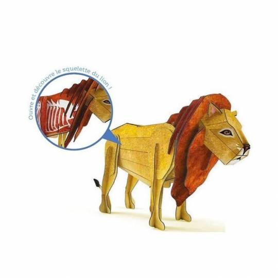 La savane - Le lion 3D Sassi - 4