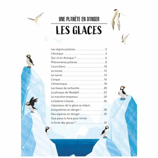 La planète en danger - Les Glaces Sassi - 3