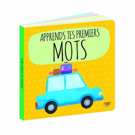 STEAM - Apprends tes premiers mots Sassi - 3