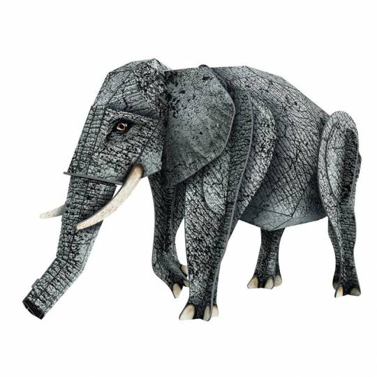 L'éléphant 3D - La jungle, une biodiversité extraordinaire Sassi - 2