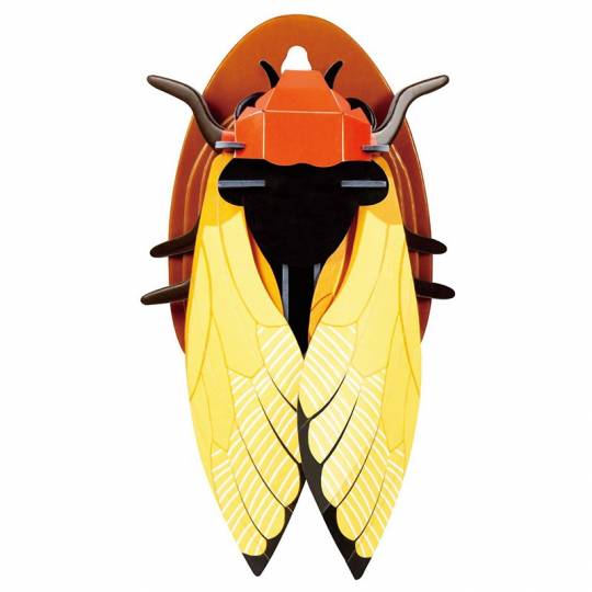 3D DIY Paper puzzles Cicada - 24 pcs Robud - 2