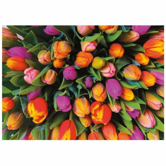 Puzzle Tulipes - 1000 pcs Piatnik - 1