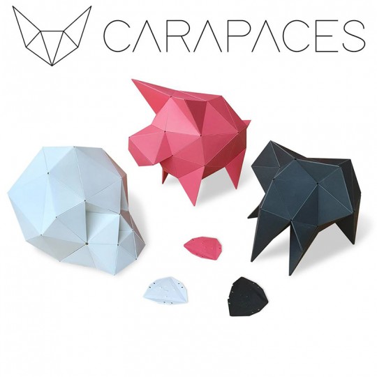Carapaces by Doug - Anthracite Doug Factory - 2