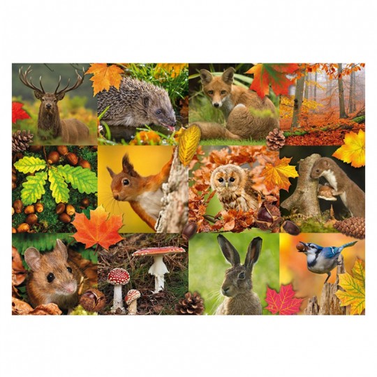 Puzzle Premium Collection - Animaux de l'Automne - 1000 pcs Jumbo Diset - 2