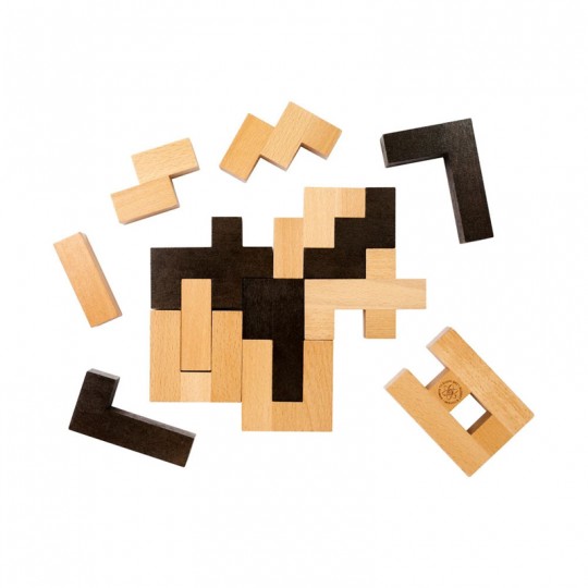 The Einstein Collection N°3 - Letter Block Puzzle Professor Puzzle - 3