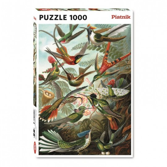 Puzzle Haeckel - Colibri - 1000 pcs Piatnik - 1