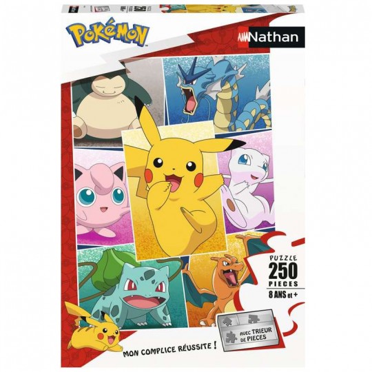 Puzzle Types de Pokémon 250 pcs - Nathan Nathan - 1