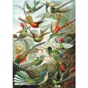 Puzzle Bois Michèle Wilson - Les Colibris - 500 pcs Puzzle Michèle Wilson - 2 Puzzle Bois Michèle Wilson - Les Colibris - 500 pcs Puzzle Michèle Wilson - 2