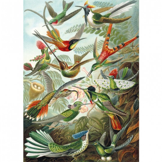 Puzzle Bois Michèle Wilson - Les Colibris - 500 pcs Puzzle Michèle Wilson - 2