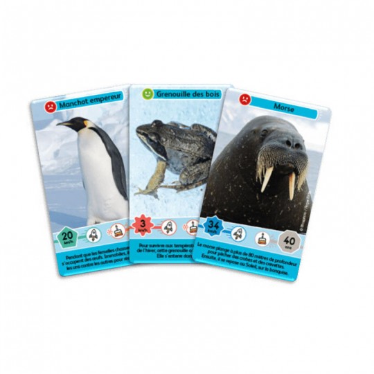 Défis Nature Junior - Royaumes du froid Bioviva Editions - 3