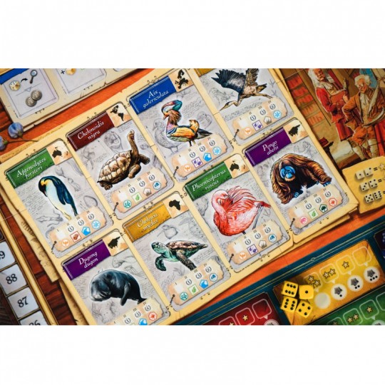 Encyclopedia (2022) Synapses Games - 3