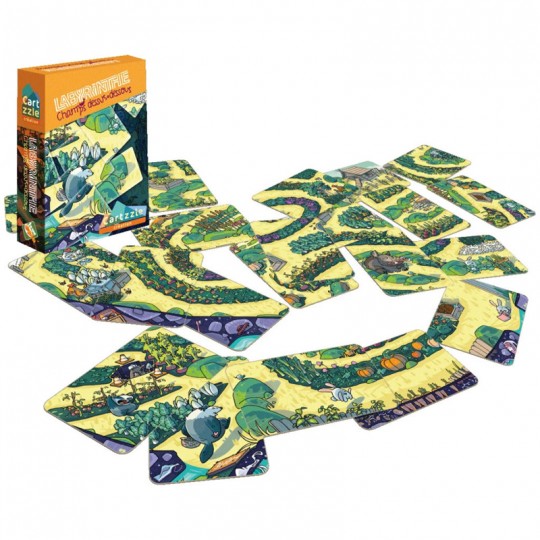 Cartzzle Labyrinthe Champs Dessus Dessous Jeux OPLA - 2