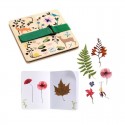 Presse et herbier à créer Petit botaniste DIY - Djeco Djeco - 2 Presse et herbier à créer Petit botaniste DIY - Djeco Djeco - 2
