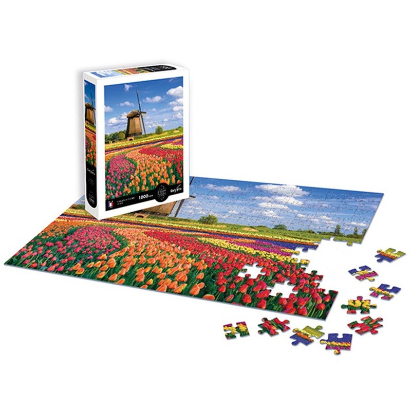 Puzzle 1000 pièces Champs de tulipes : Hollande - Calypto