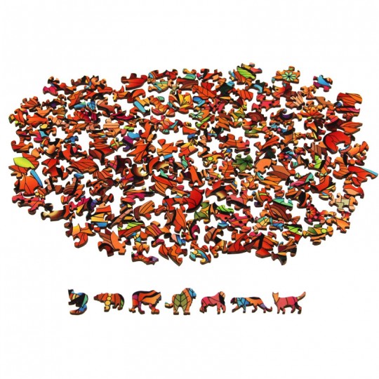 Rainbow Wooden Puzzle TIGRE Eureka 3D Puzzle - 3