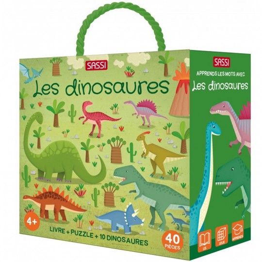 Q-Box : Les Dinosaures - Sassi Sassi - 2