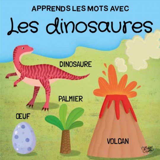 Q-Box : Les Dinosaures - Sassi Sassi - 3