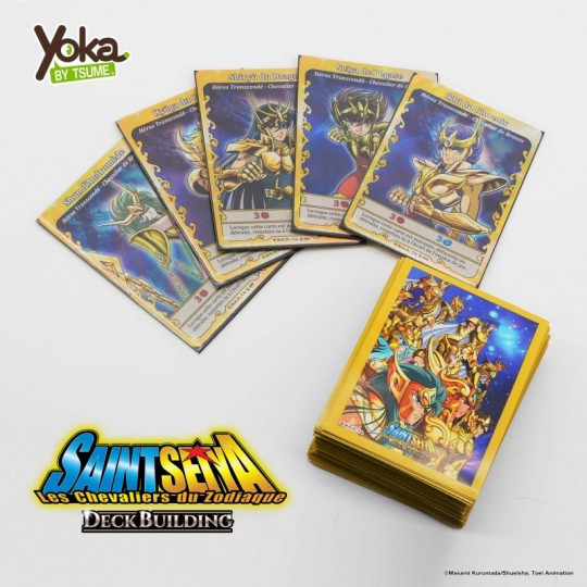 SAINT SEIYA - Sleeves Gold Yoka by Tsume - 3