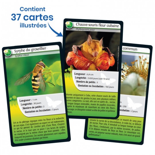 Défis Nature Abeilles et autres pollinisateurs Bioviva Editions - 1