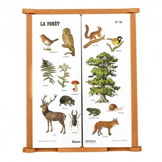 Tableau Triptyque "La Forêt" Deyrolle - Jeujura Jeujura - 3