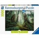 Puzzle 1000 p - En forêt  (Nature edition)