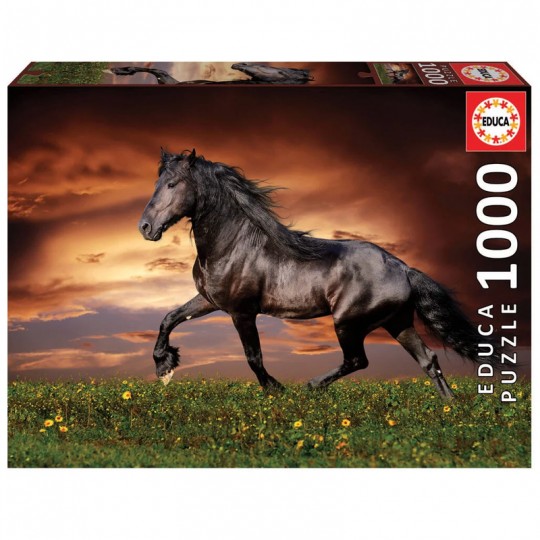 Puzzle 1000 pcs Cheval Au Trot - Educa Educa - 1