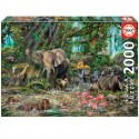 Puzzle 2000 pcs Jungle africaine - Educa Educa - 1 Puzzle 2000 pcs Jungle africaine - Educa Educa - 1