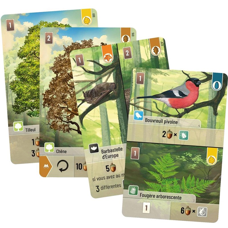Forêt Mixte - Un jeu Lookout games - Acheter sur la boutique BCD JEUX