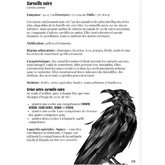 La Voie du Corbeau - Jeu de rôle solo La French Print - 3