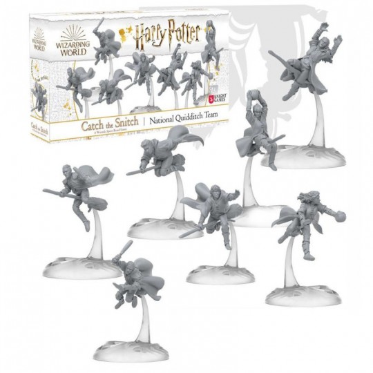 Harry Potter: Catch the Snitch - Extension National Quidditch Team Knight Models - 1