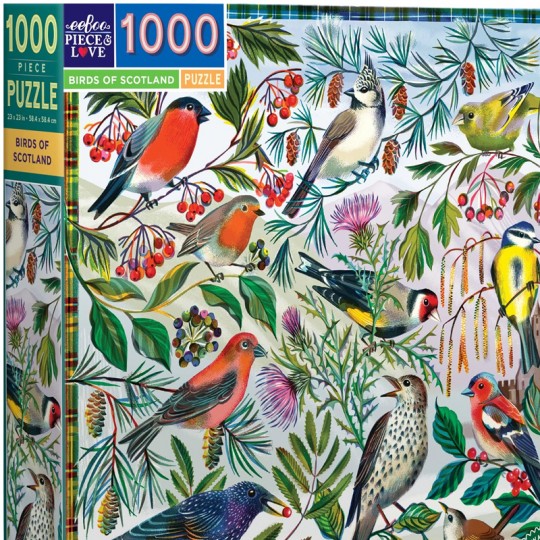 Puzzle 1000 pcs Birds of Scotland - Eeboo Eeboo - 4