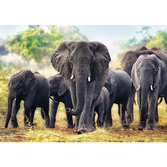 Puzzle Premium Quality African elephants 1000 pcs - Trefl TREFL SA - 2