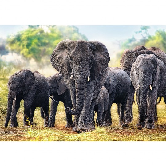 Puzzle Premium Quality African elephants 1000 pcs - Trefl TREFL SA - 3