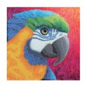 CRYSTAL ART Kit carte broderie diamant 18x18cm-Perroquet Crystal Art - 1 CRYSTAL ART Kit carte broderie diamant 18x18cm-Perroquet Crystal Art - 1