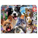 Puzzle 500 pcs Amis De La Cour - Educa Educa - 1 Puzzle 500 pcs Amis De La Cour - Educa Educa - 1