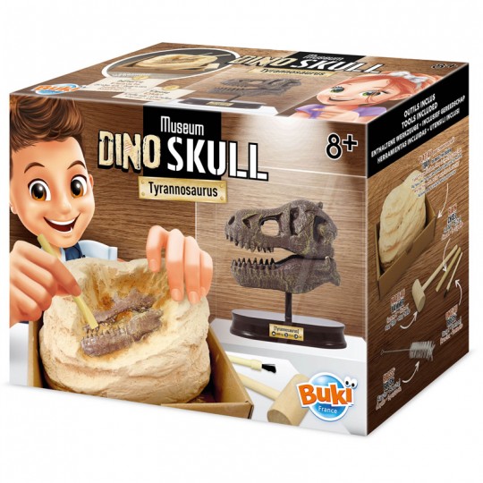 T-Rex Museum Skull - Buki Buki France - 1