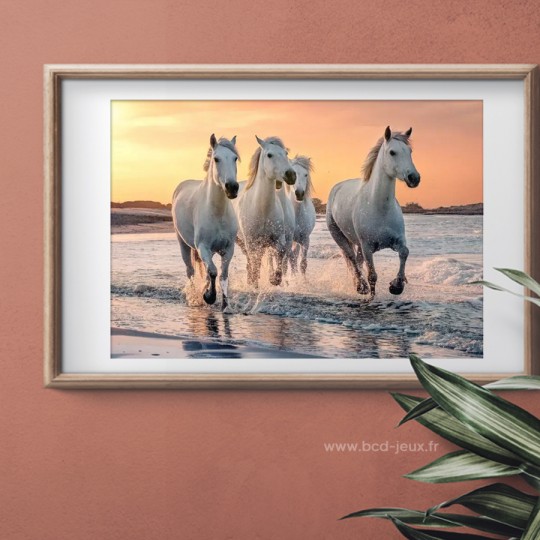 Puzzle 500 pcs XL Chevaux en Camargue - Calypto Calypto - 2